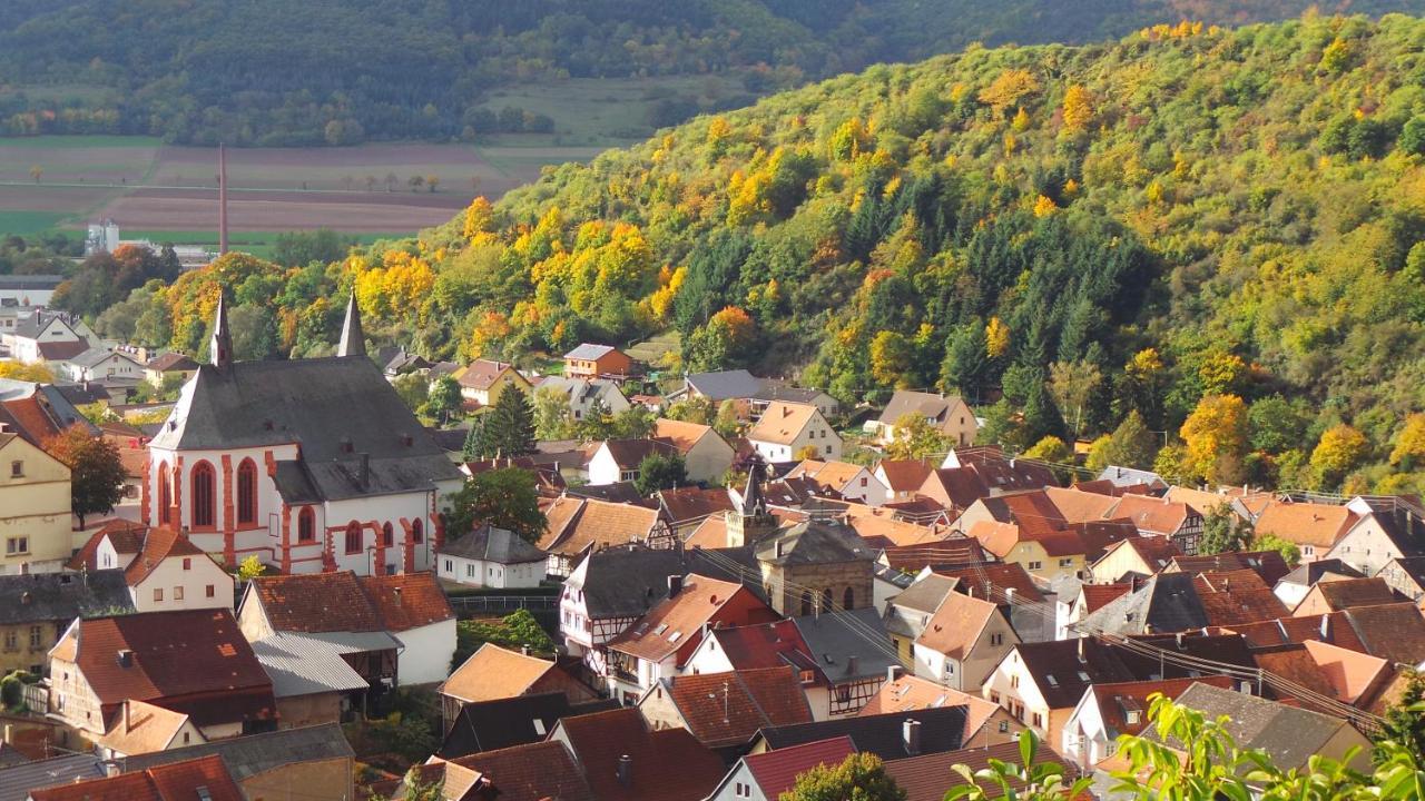 فندق Monzingenفي  Weingut Und Gastehaus Holger Alt المظهر الخارجي الصورة