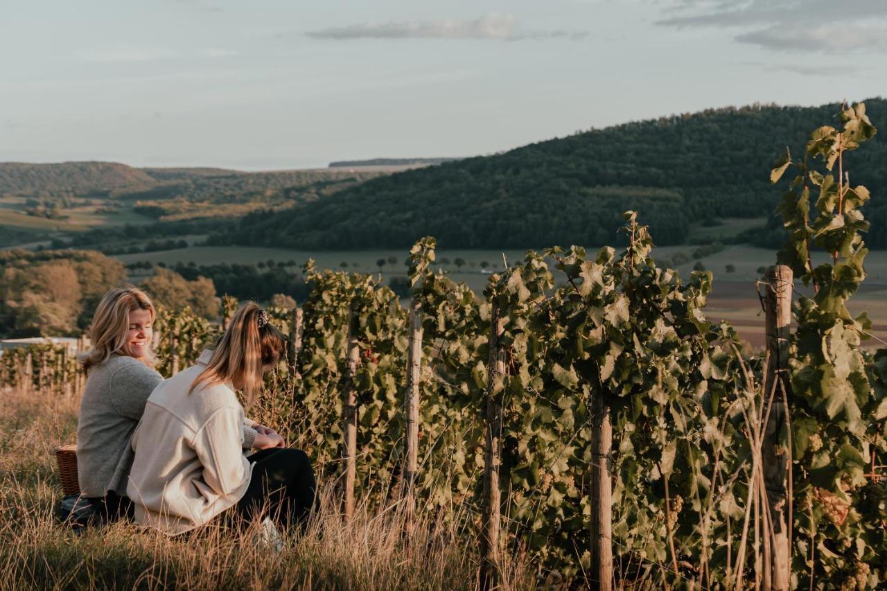 فندق Monzingenفي  Weingut Und Gastehaus Holger Alt المظهر الخارجي الصورة