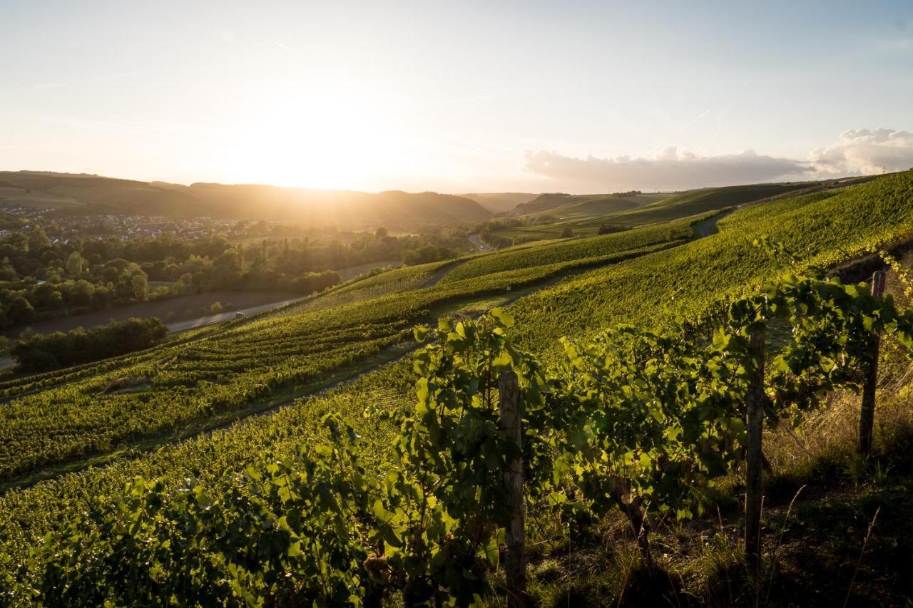 فندق Monzingenفي  Weingut Und Gastehaus Holger Alt المظهر الخارجي الصورة